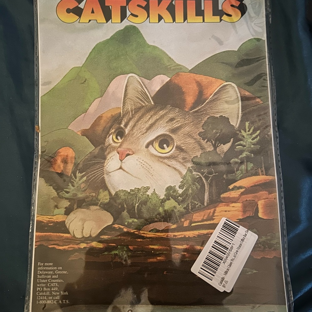 Catskills Cat Poster